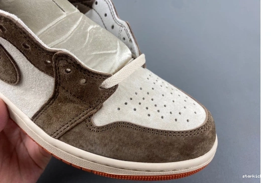 OG Jordan Dusted 1 SP  FQ2941-200 High FQ2941-200  Clay Retro 0117